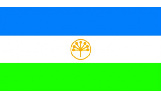 Флаг РБ 1992 The Flag of the RB 1992
