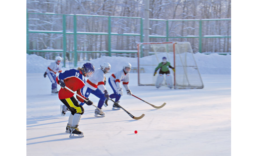 Первенство России по хоккею с мячом среди девушек. Уфа, 2010