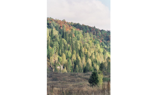 Ландшафтный заказник “Первомайский” Pervomaisky landscape wildlife reserve