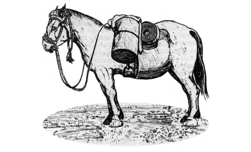 Лошадь, навьюченная бортевыми снастями (д.Миндигулово Бурзянского р‑на, 1967)