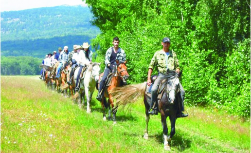 Конно-верховой маршрут по Белорецкому р-ну A horse riding route in Beloretsky Raion