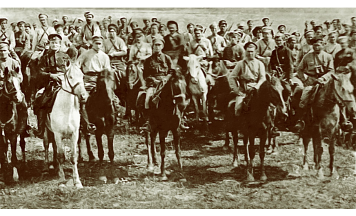 Отдельная Башкирская кавалерийская бригада. Юго‑Западный фронт, 1920