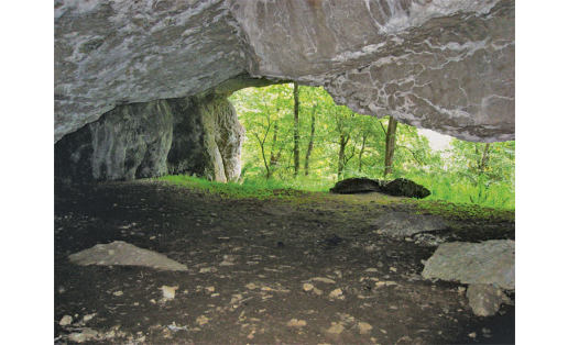 Привходовая часть пещеры Таш-ой