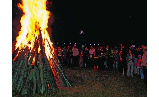 Латыши на празднике Лиго. Архангельский р-н, 2009 Latvian people at the Feast of Ligo. The Arkhangelsky Raion, 2009. Рис. 2