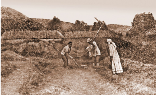 Молотьба цепами (д.Исмагилово Стерлитамакского кантона БАССР, 1930)