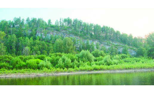 Разрез Большая Лука The Bolshaya Luka quarry