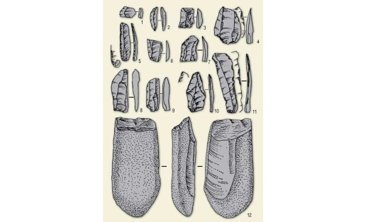 Находки из памятника Шульган-Таш:  каменные ножевидные пластины (1—9, 11),  остриё (10), чоппинг (12)