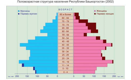 Половозрастная структура населения РБ (2002)