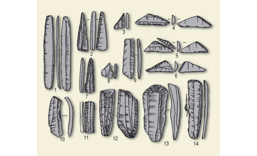 Материалы памятников янгельской культуры:  каменные ножевидные пластины (1, 10—11), острия (2, 7), геометрические микролиты (3—6), резцы (8—9), нуклеус (12), скребки (13—14)