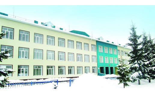 Кушнаренковская средняя школа №1 The Kushnarenkovo Secondary School No.1