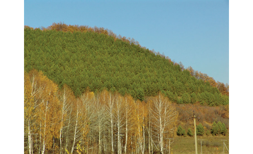 Гора Караултау