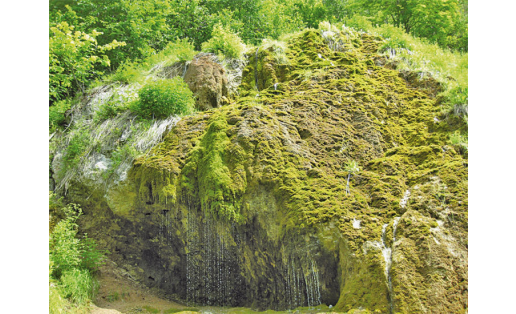 Урочище Шумиловский водопад