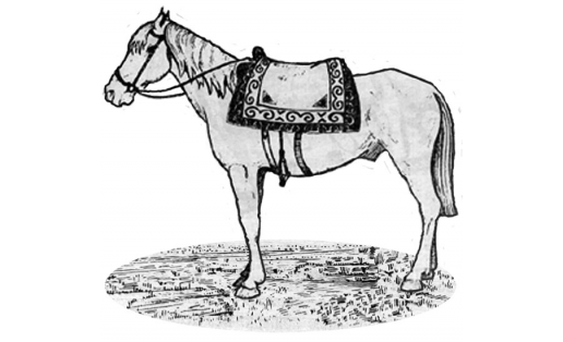 Верховая лошадь под свадебным чепраком (д.Аскарово Альменевского р-на Курганской области, 1971).