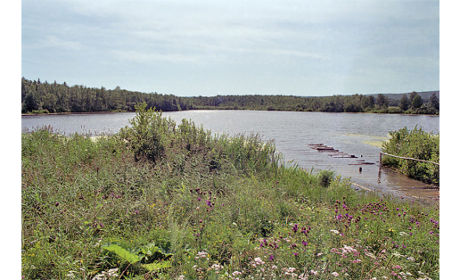 Сосновое озеро