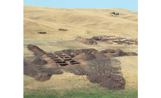 Раскопки поселения Таналык. Хайбуллинский р-н, 1995 Excavations of the Tanalyk settlement. Khaybullinsky Raion, 1995