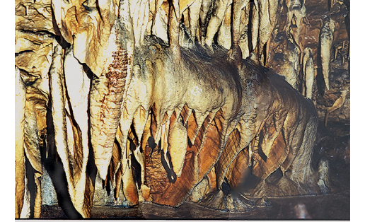 Пещера Заповедная. Кальцитовые натёки