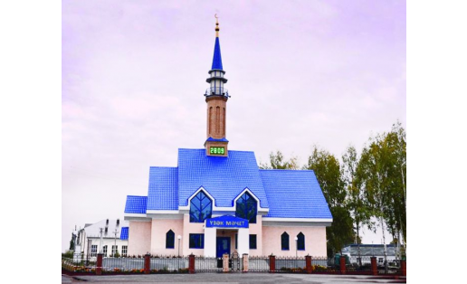 Центральная мечеть в с.Старобалтачево The Central Mosque in Selo Starobaltachevo