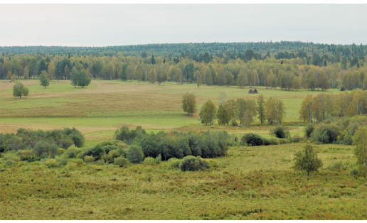 Уфимское плато. Караидельский р-н The Ufimskoye plateau. Karaidelsky Raion