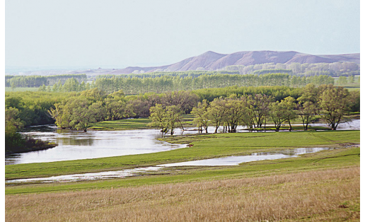 Река Дёма. Альшеевский р-н