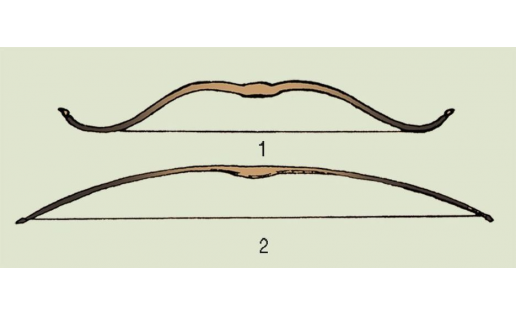Виды охотничьих луков: 1 – составной; 2 – простой Types of hunting bows: 1 — composite; 2 — simple