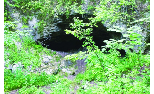 Охлебининская пещера: вход. Okhlebininoskaya Cave: cave entrance