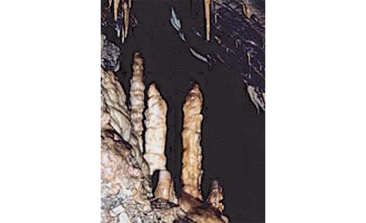 Пещера Зигзаг. Сталагмиты