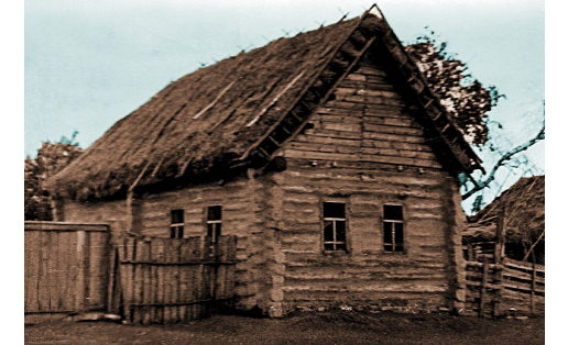 Дом‑пятистенок с 2‑скатной соломенной крышей (д.Метев‑Аккубяк Белебеевского р‑на, 1969)
