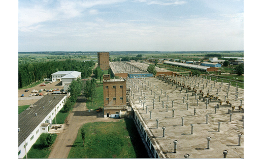 Свиноводческий комплекс совхоза “Рощинский” Pig-breeding complex of the Roshinsky state farm