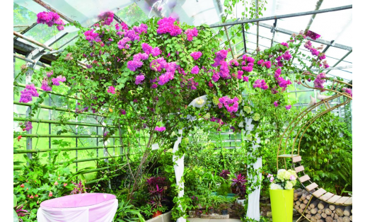 Оранжерея ботанического сада The greenhouse at the Botanic Garden